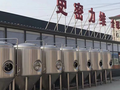平阳精酿啤酒设备厂—如何判断精酿啤酒设备的密封件需要更换？